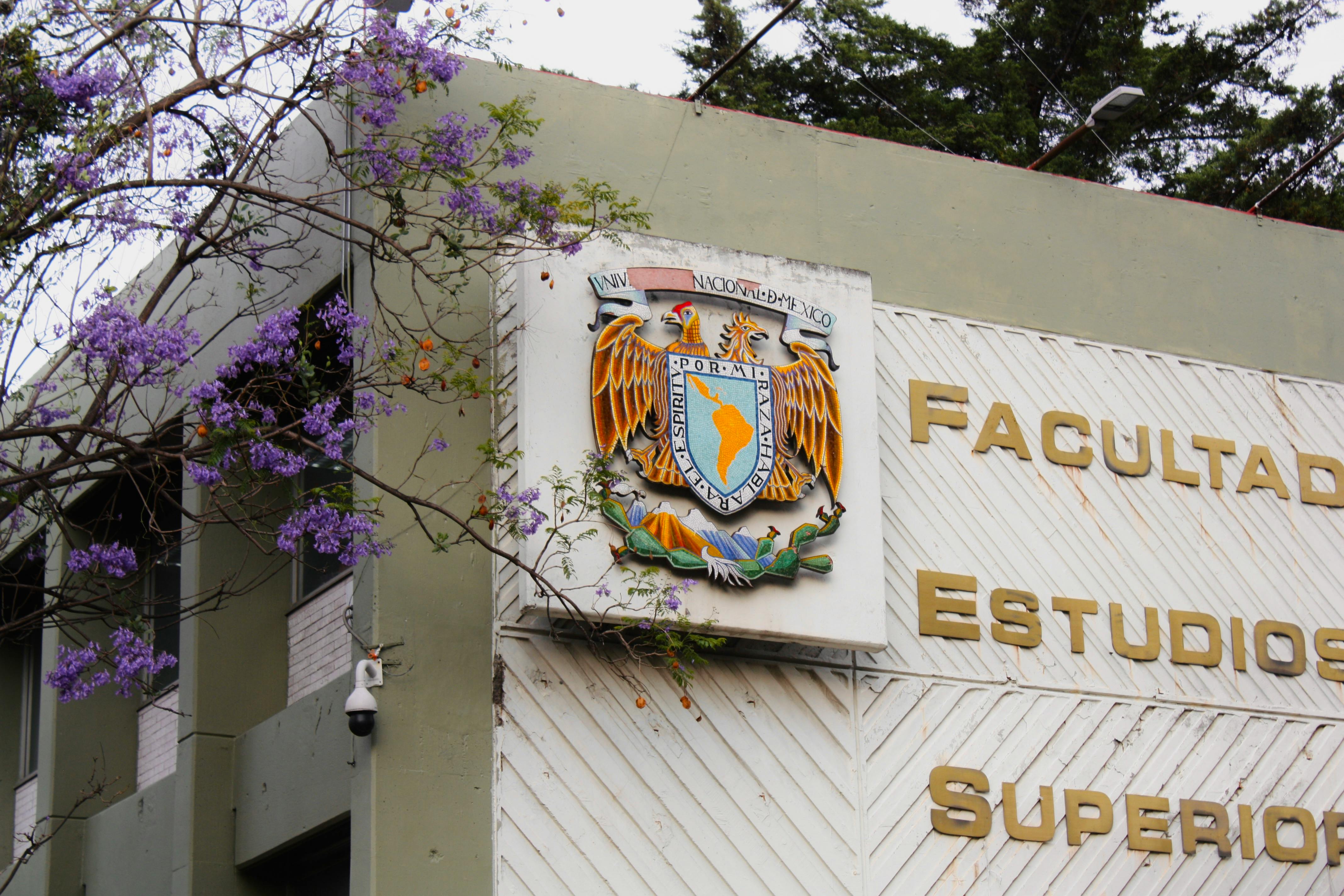 general education academy — Photo by Dainé Zeferino on Pexels
