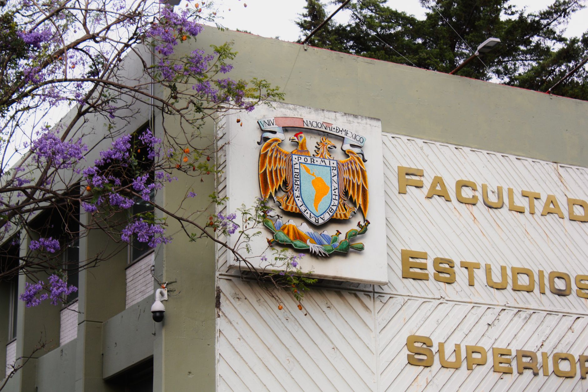 TSE Suspende Sistema de Filiação Partidária Após Fraudes com Nomes de Lula e