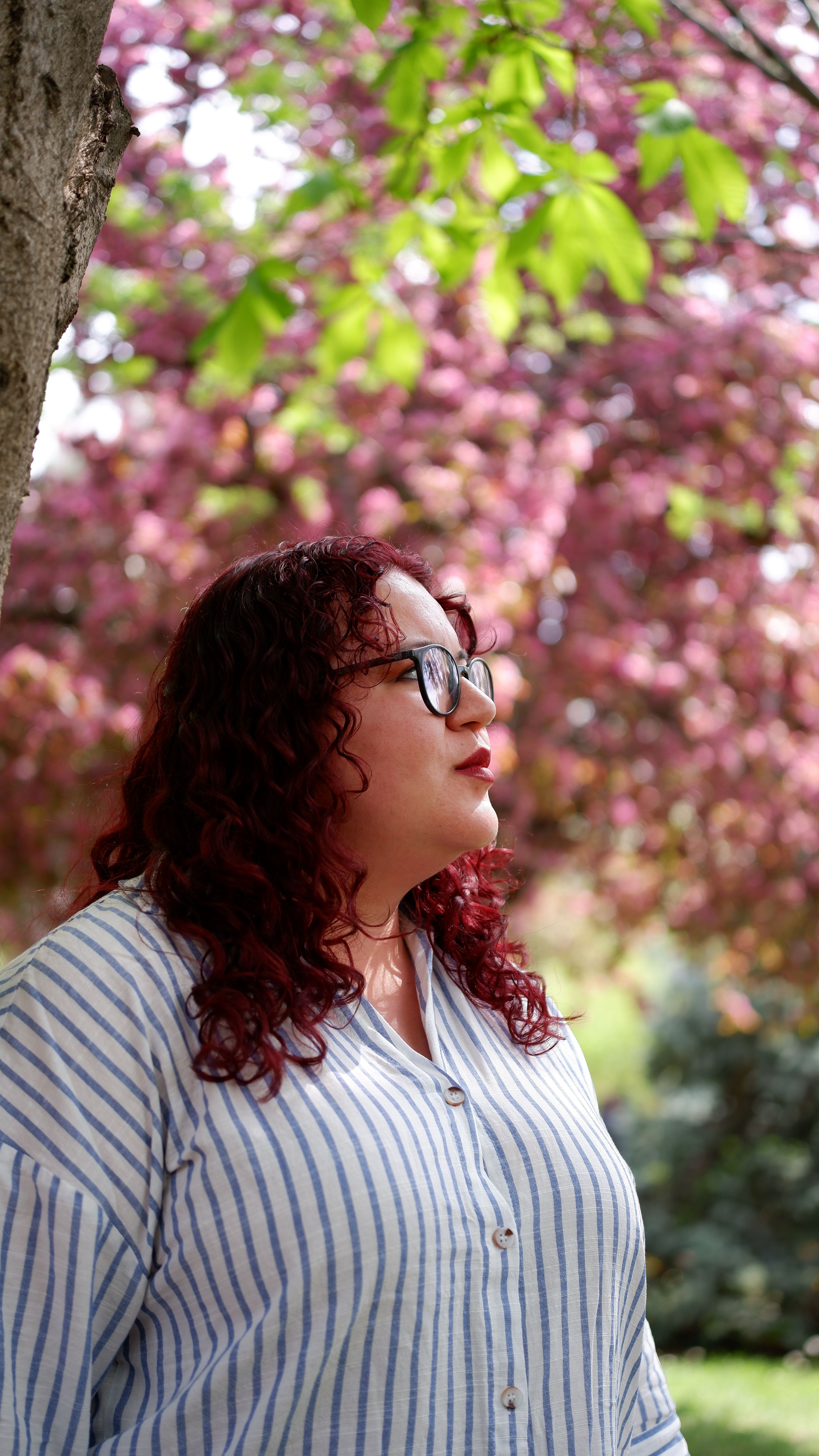 Portrait of Woman Under Blooming Cherry Blossoms · Free Stock Photo