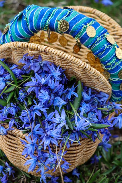 Free A charming wicker basket overflowing with vibrant blue spring flowers, accented with a colorful fabric strap. Stock Photo