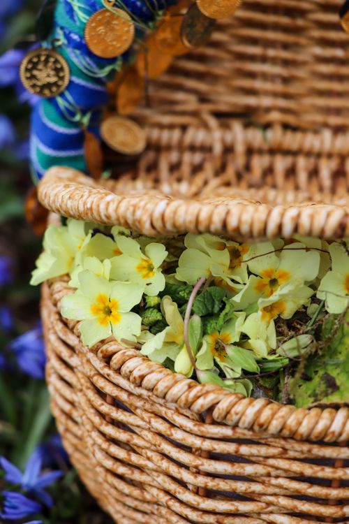 Free A detailed view of yellow primrose flowers in a wicker basket decorated with coins, symbolizing spring and prosperity. Stock Photo