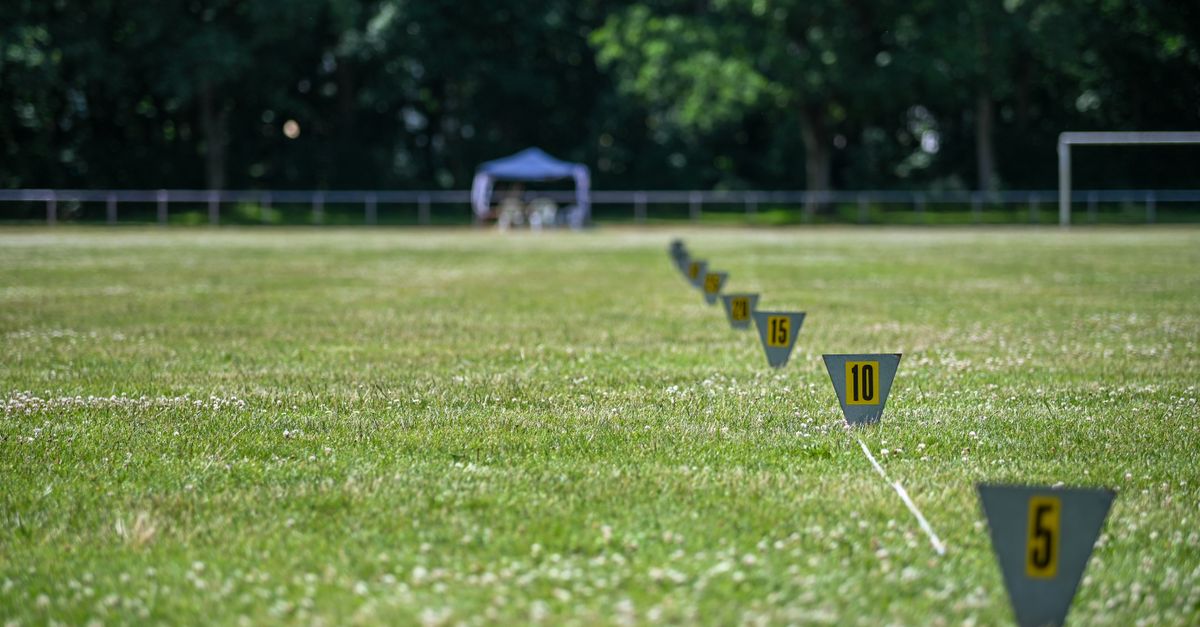 Allen's Newest Outdoor Destination: Bravo Park at Sloan Corners Is Open