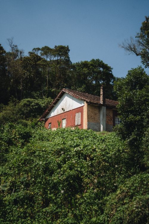 Charming Rustic House in Lush Greenery · Free Stock Photo