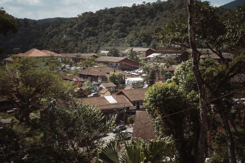 Village rooftops nestled in lush rainforest hills at Kuranda
