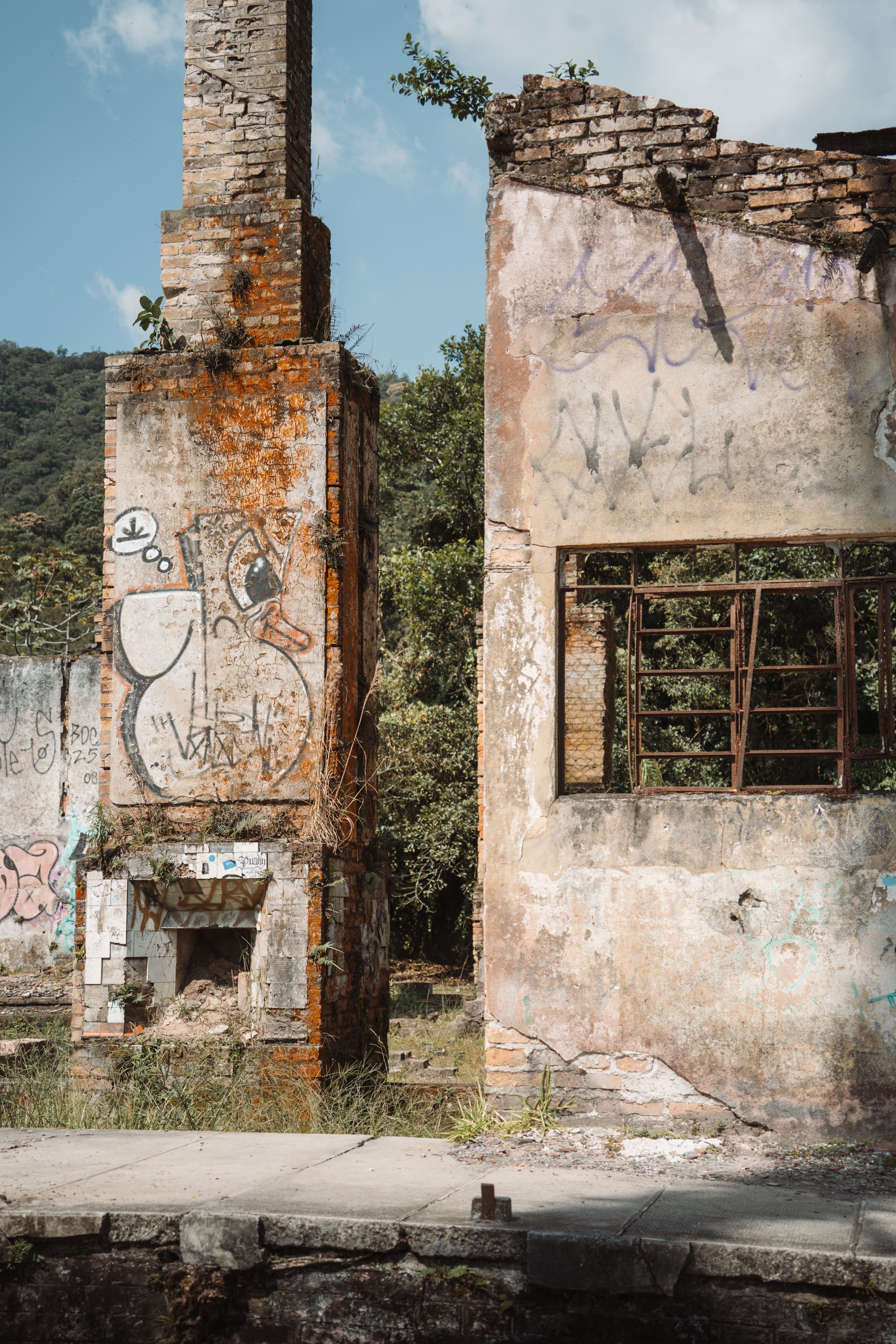 Abandoned Graffiti-Covered Ruins in Nature · Free Stock Photo