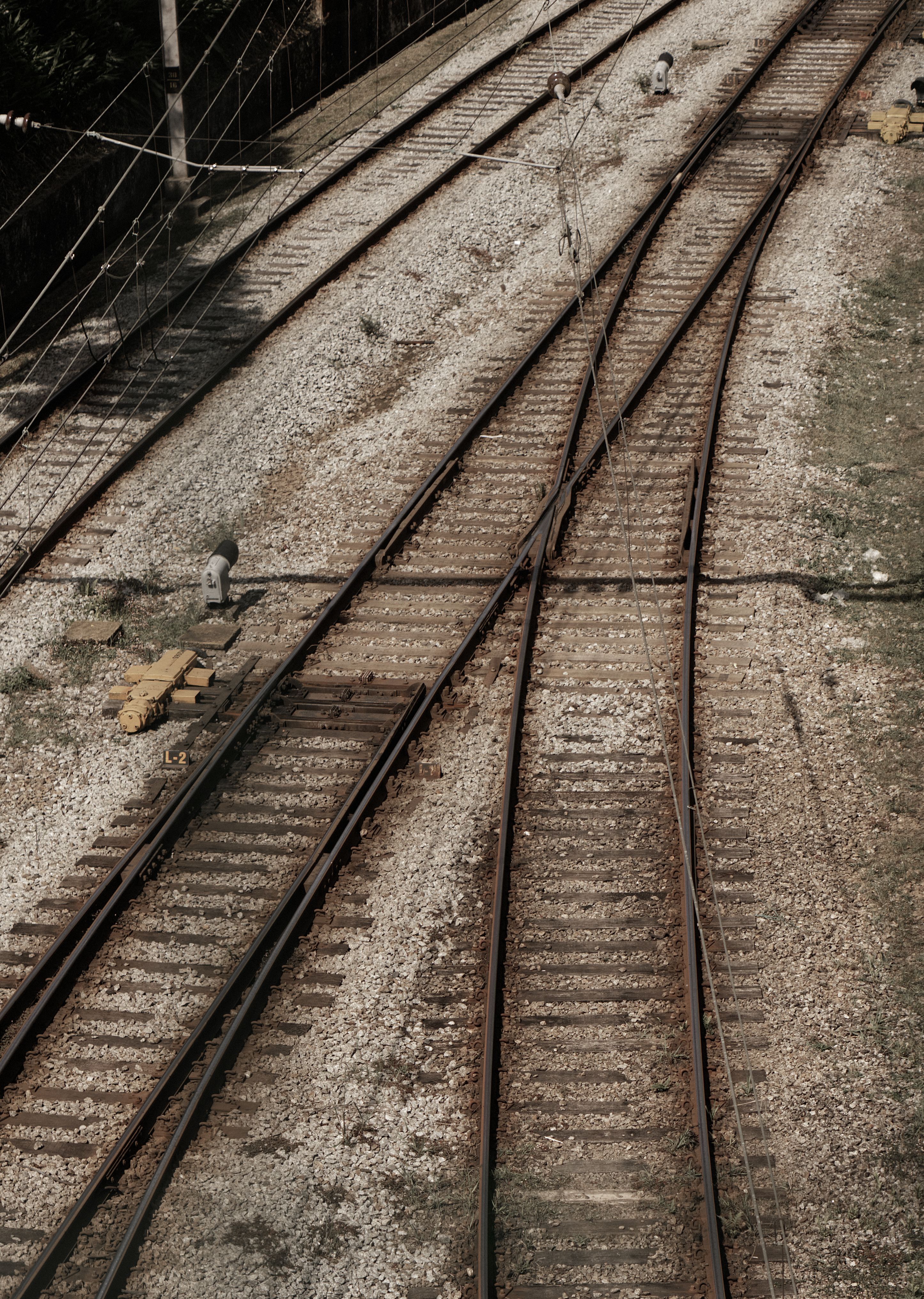 Modernización del sistema ferroviario mexicano como motor clave para la competitividad empresarial