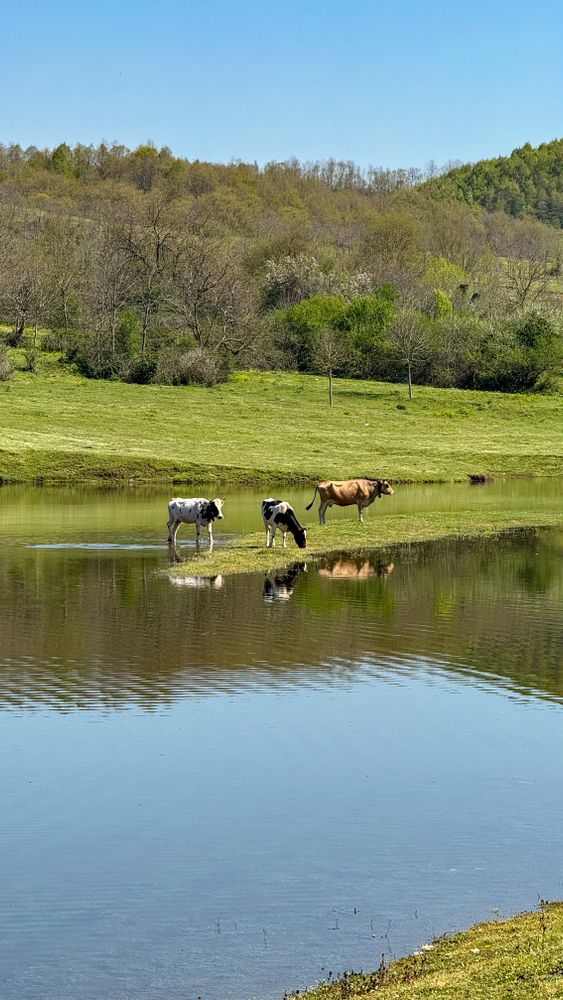 10.000+ Fotos y Imágenes de Paisajes con agua Gratis · Banco de Fotos ...