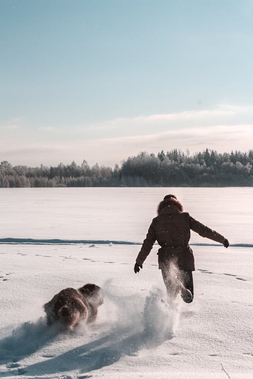 無料 雪の上を走っているジャケットとパンツの男 写真素材