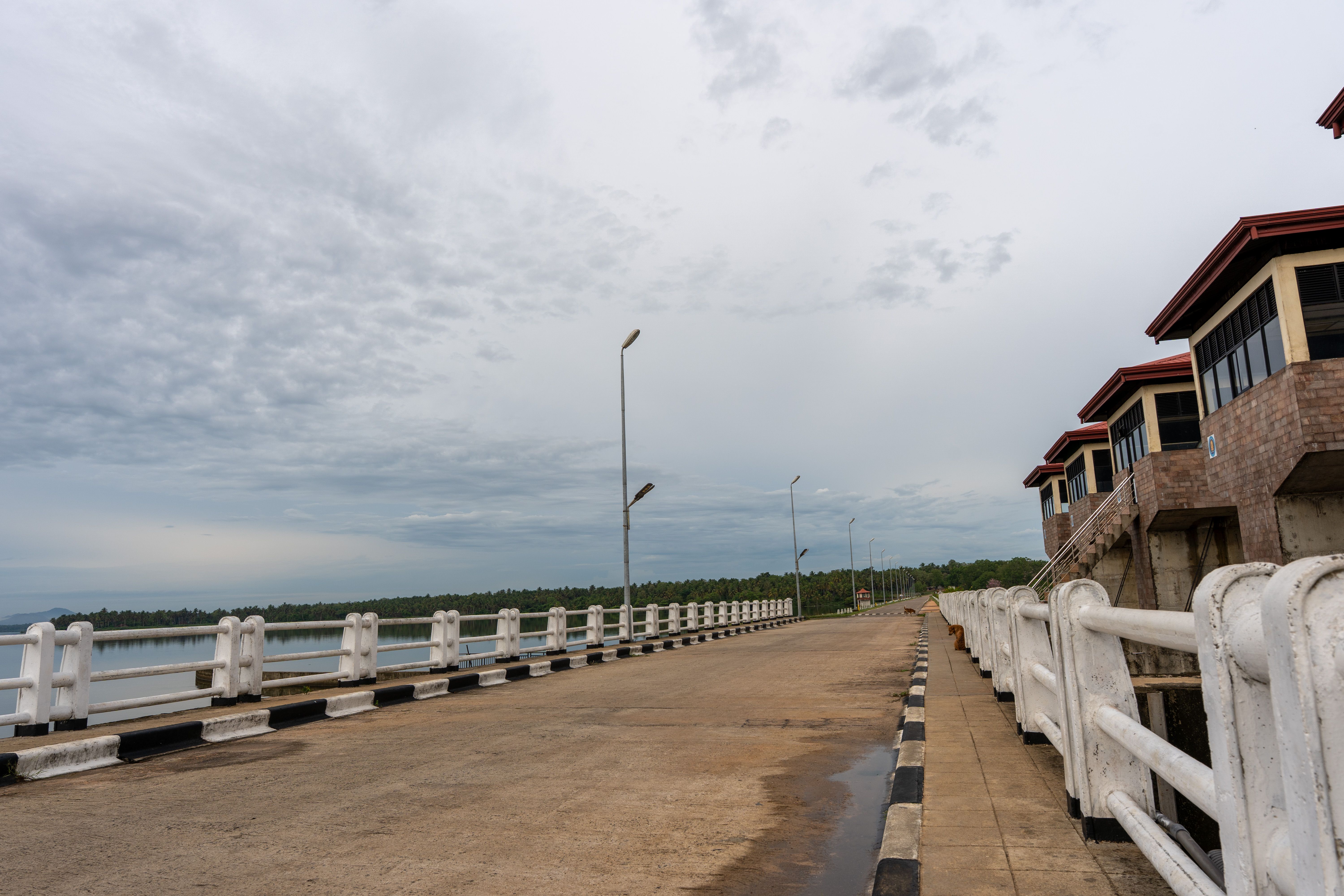 Nightlife and Evenings in Dehiattakandiya: What to Expect