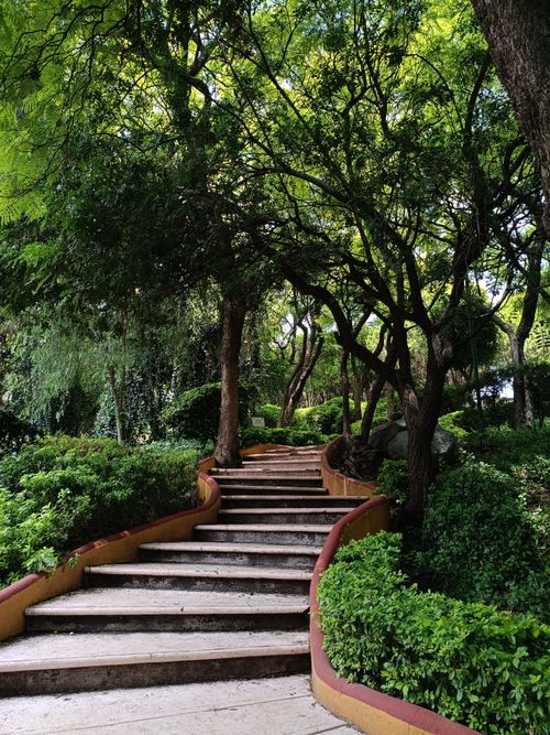 Free Stone staircase winding through lush green woodland, ideal for nature enthusiasts and serene escapes. Stock Photo