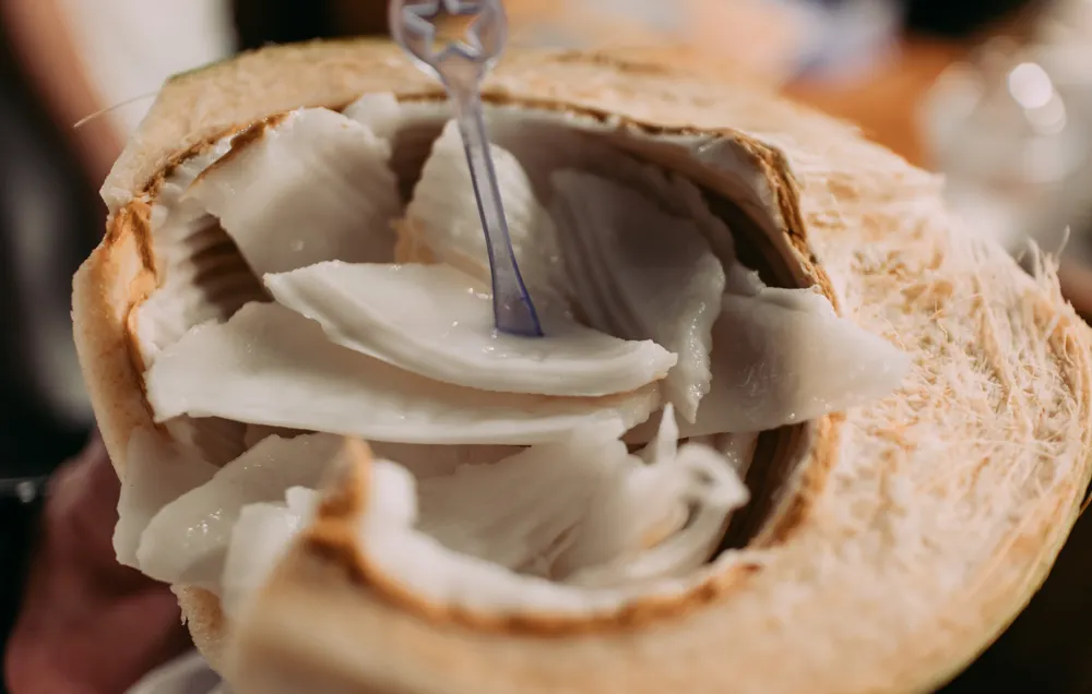 Poisson cru au lait de coco (e'ia ota)