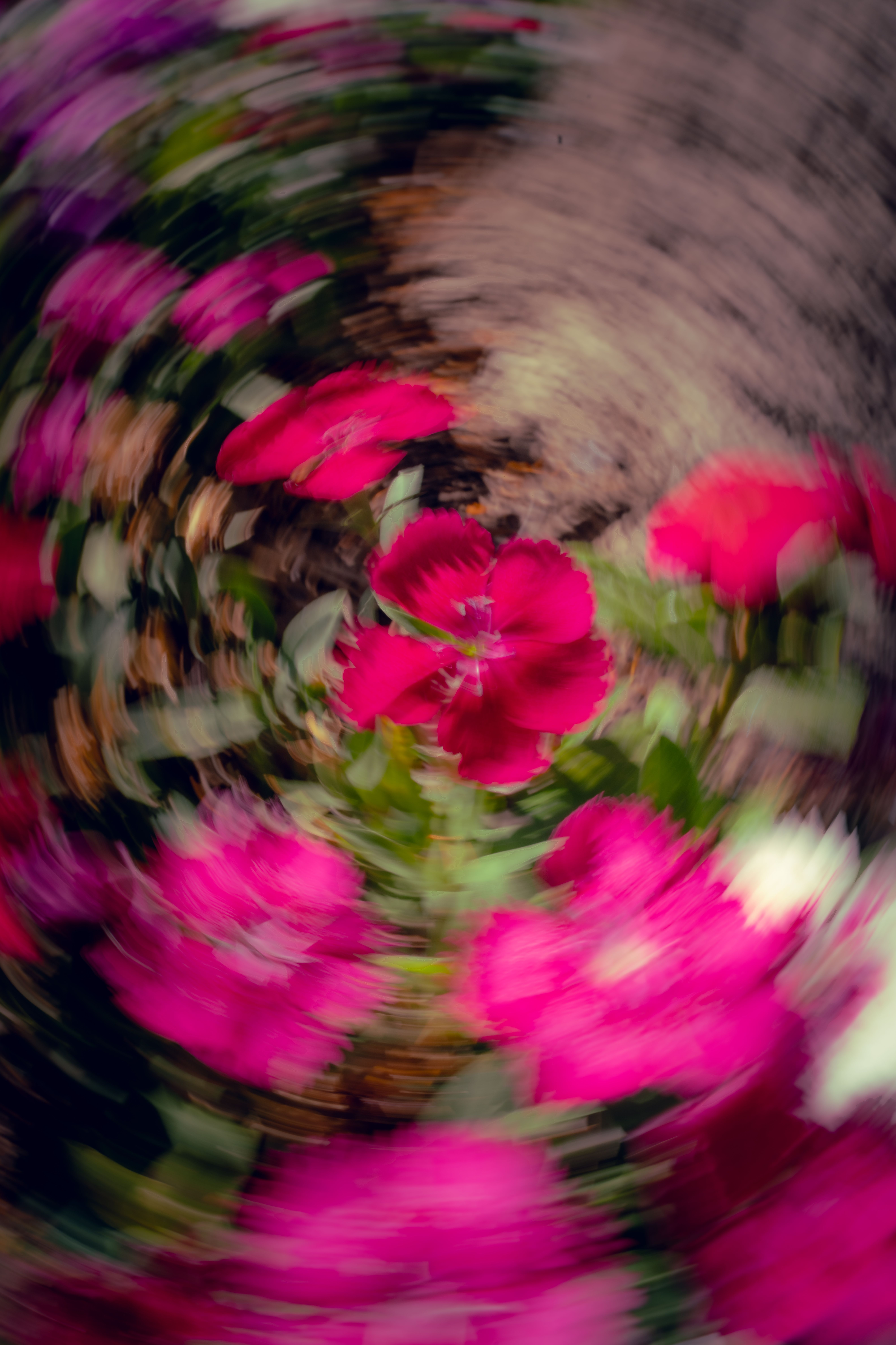 Foto de stock gratuita sobre abstracto, aireado, al aire libre, arte ...