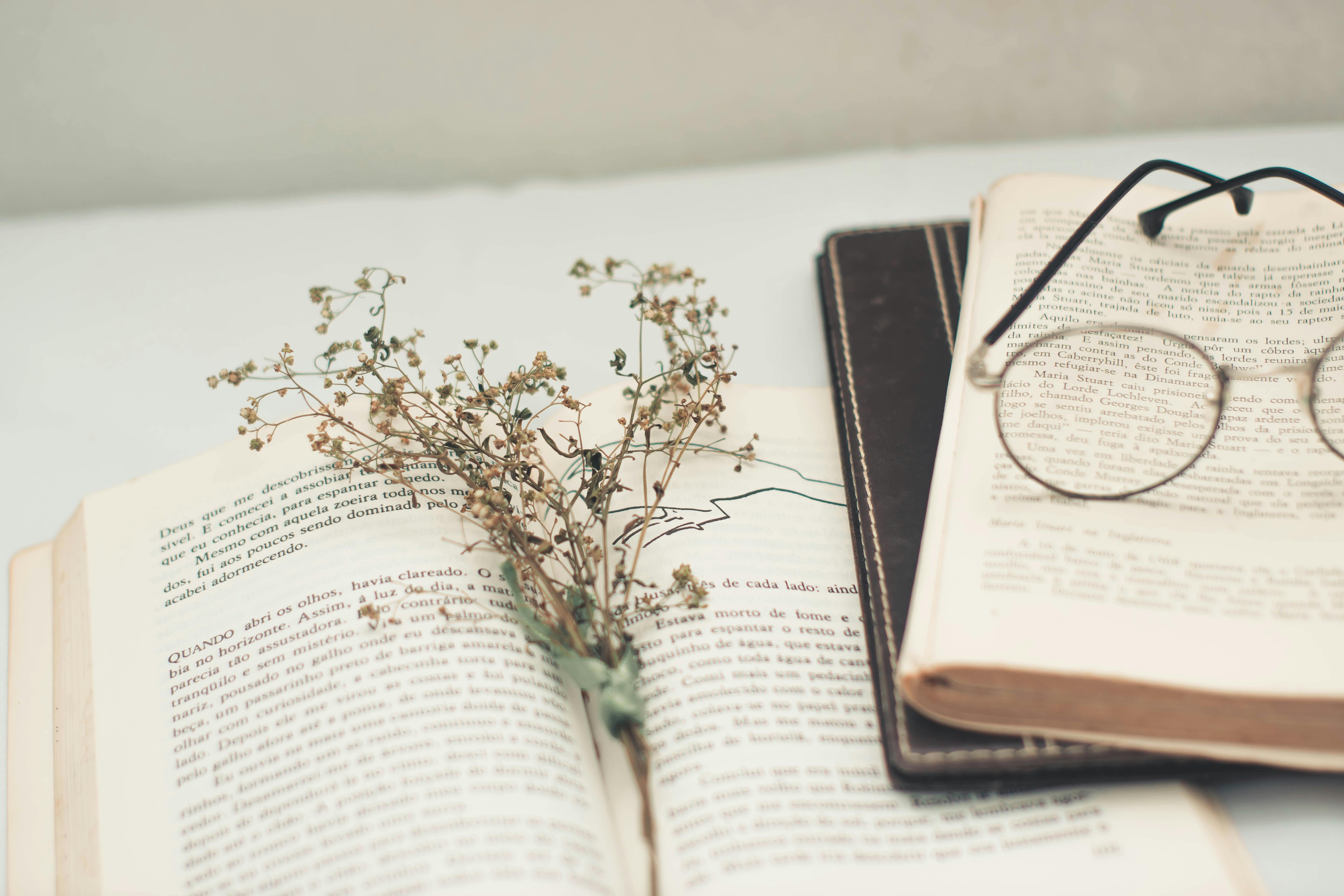 Book Old Literature - Free photo on Pixabay - Pixabay