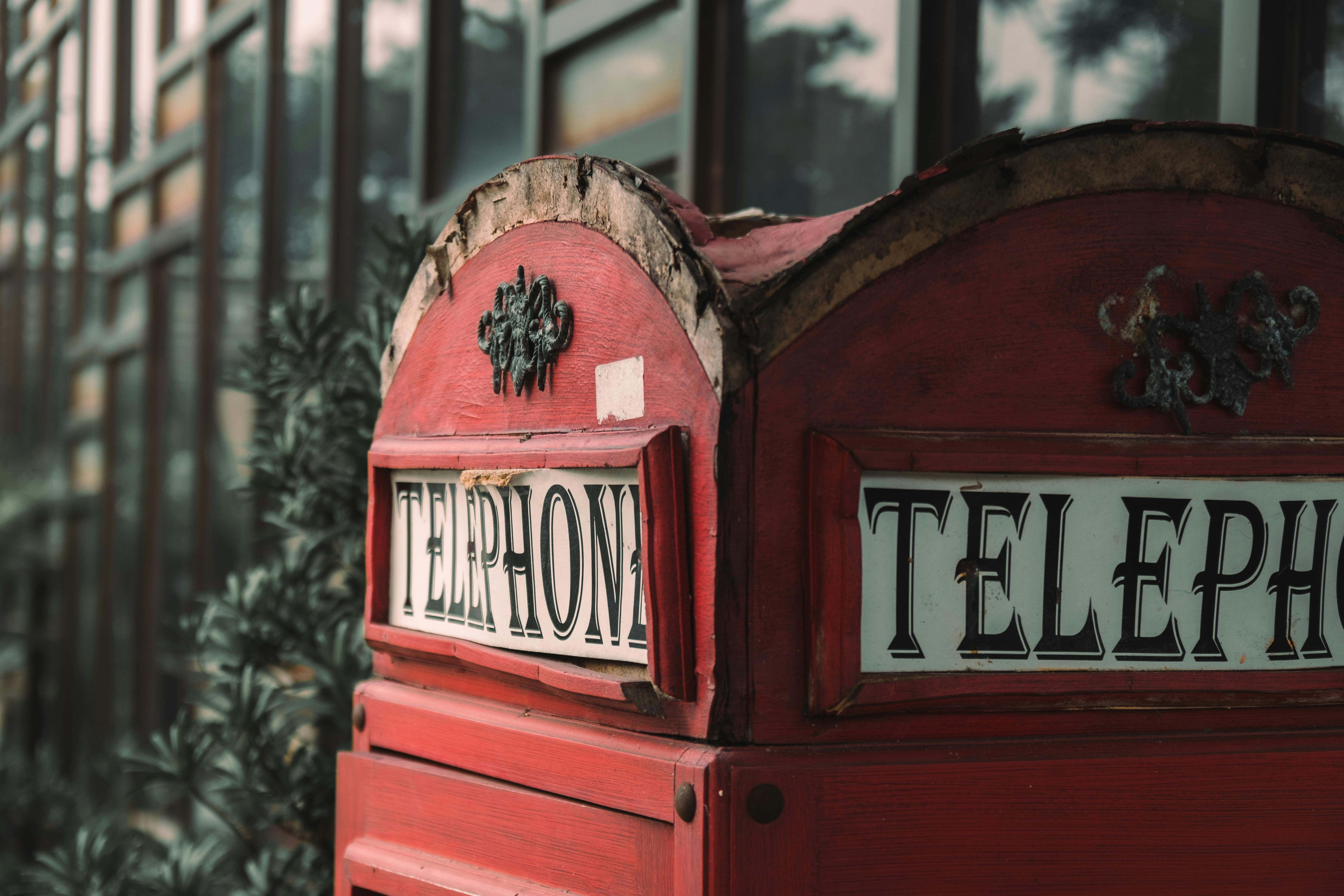 32 Fun Facts from the History of Pop Culture — Photo by Sogi . on Pexels