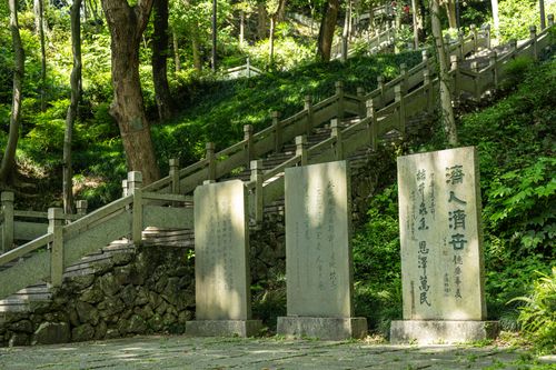 Free A tranquil stone staircase with engraved tablets set amid a verdant forest, offering a serene nature escape. Stock Photo