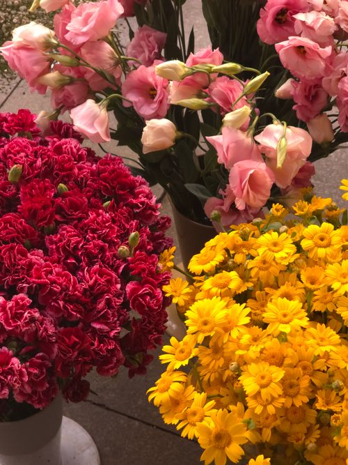 Free Colorful display of pink, red, and yellow flowers in a market setting in İstanbul. Stock Photo