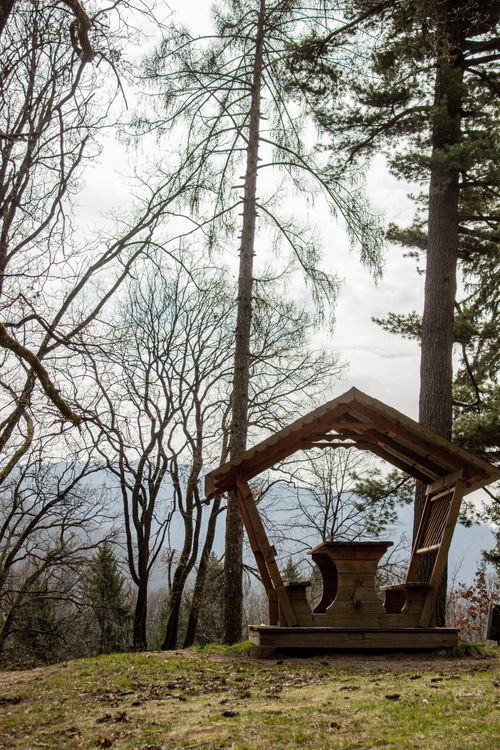 Free A serene wooden gazebo in a forest setting, ideal for relaxation amidst nature. Stock Photo