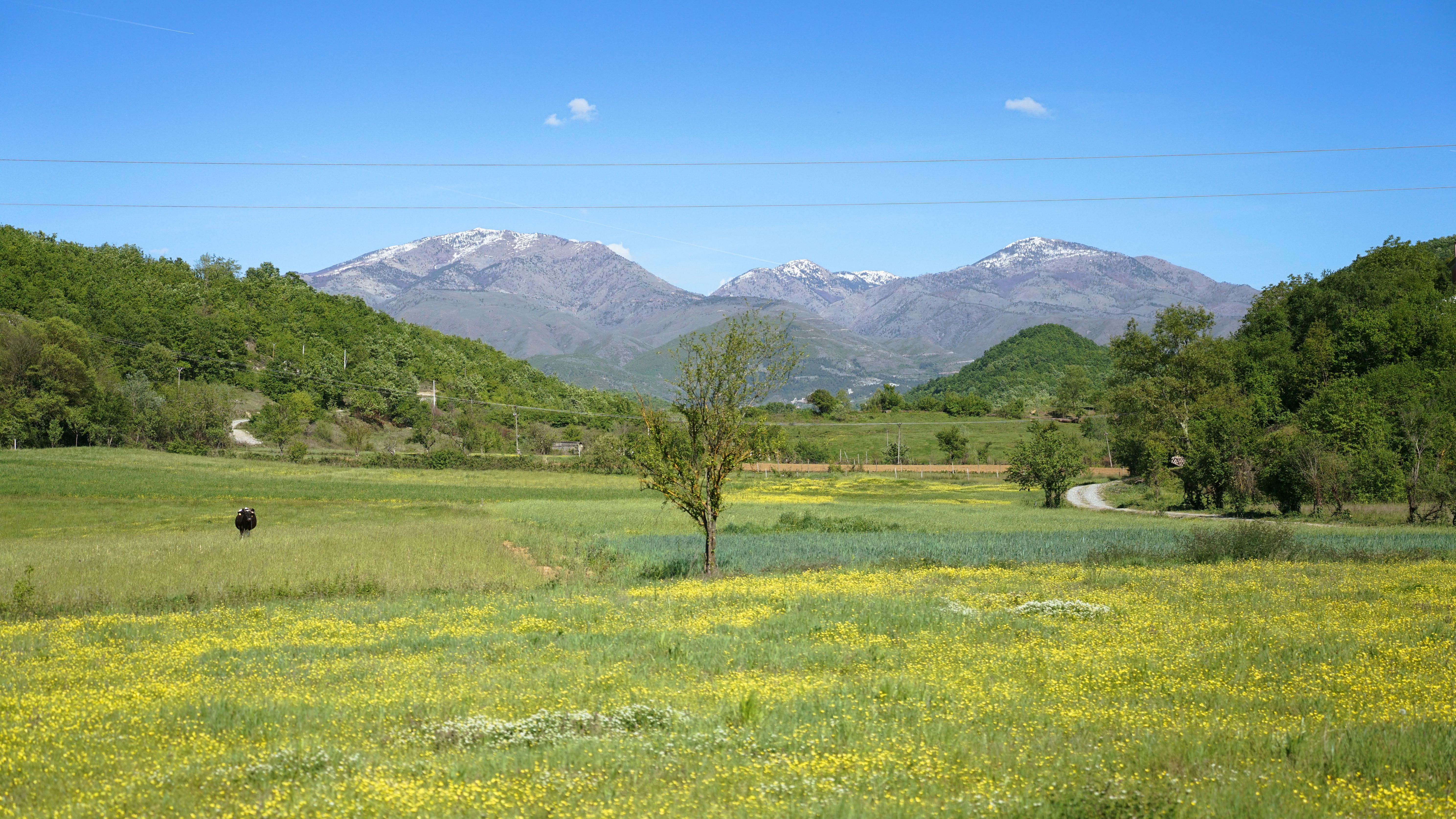 Spring in Albania: March to May