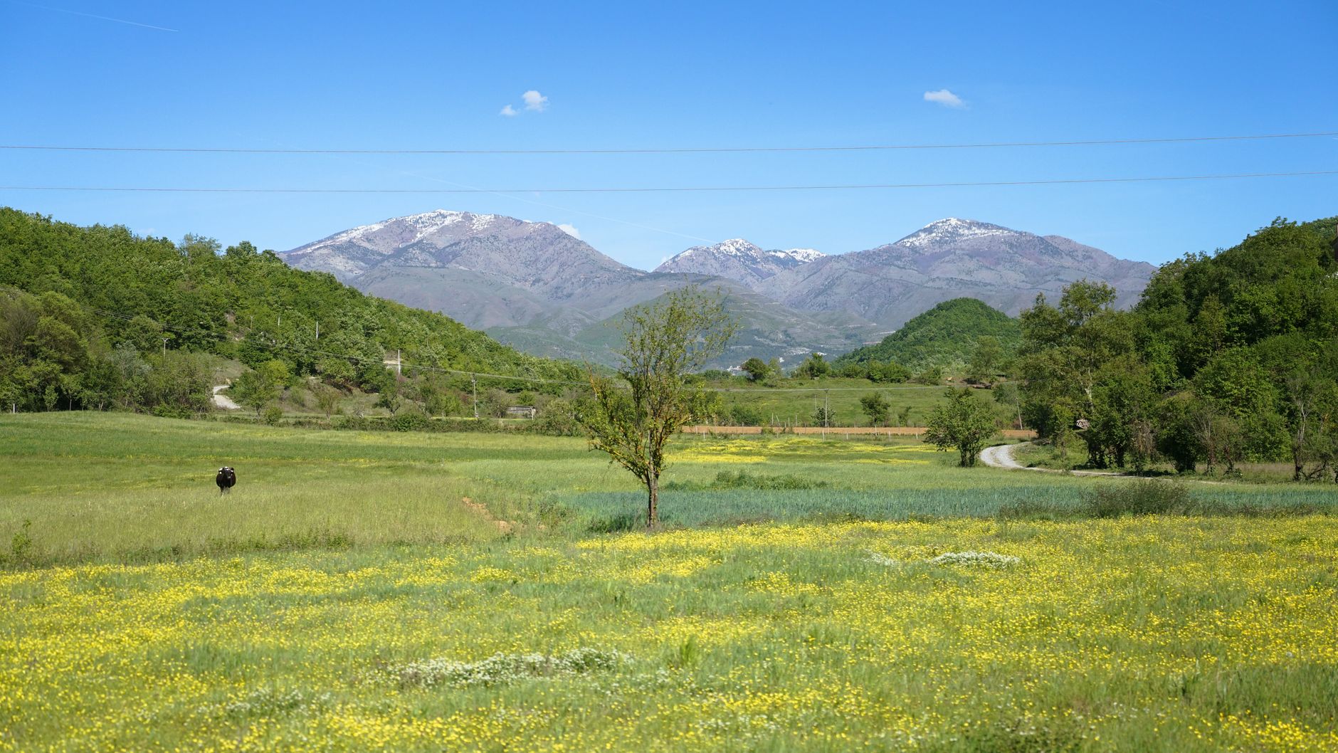Spring in Albania: March to May