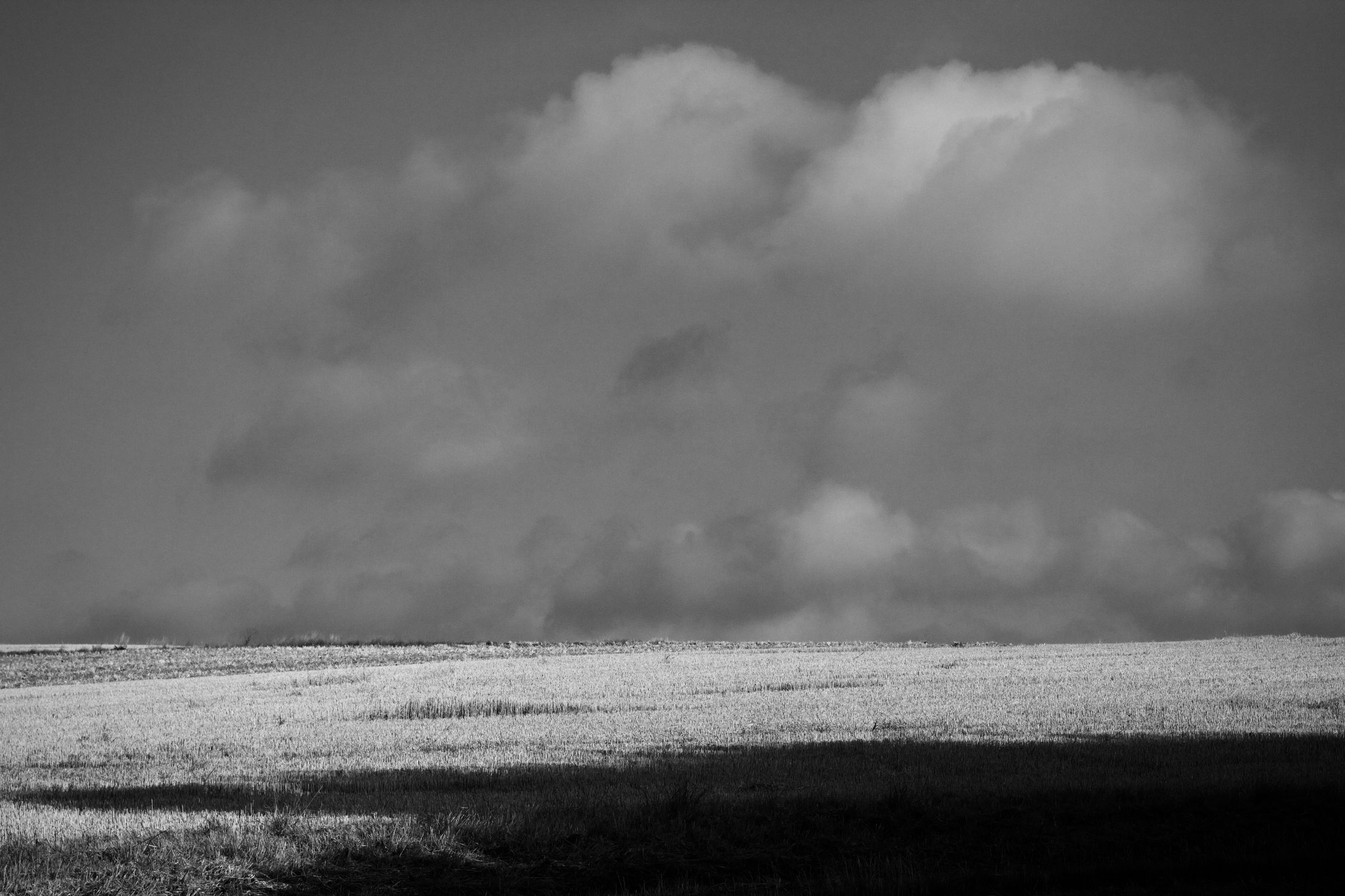 Black and White Field Under Dramatic Clouds · Free Stock Photo