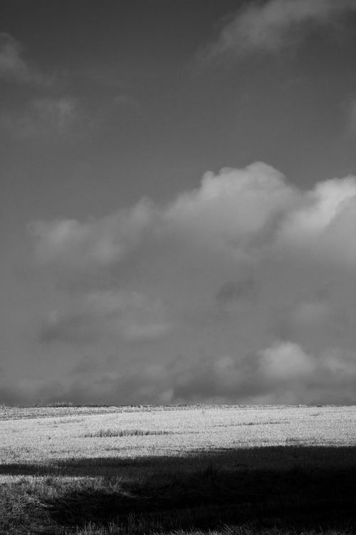 Serene Black and White Landscape with Dramatic Clouds · Free Stock Photo
