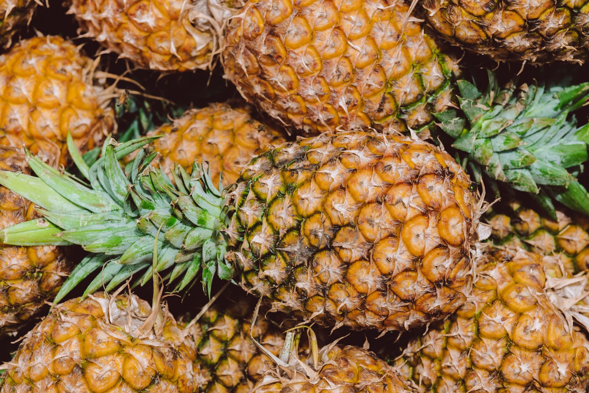 Fresh and juicy pineapple slices ready for cooking or eating