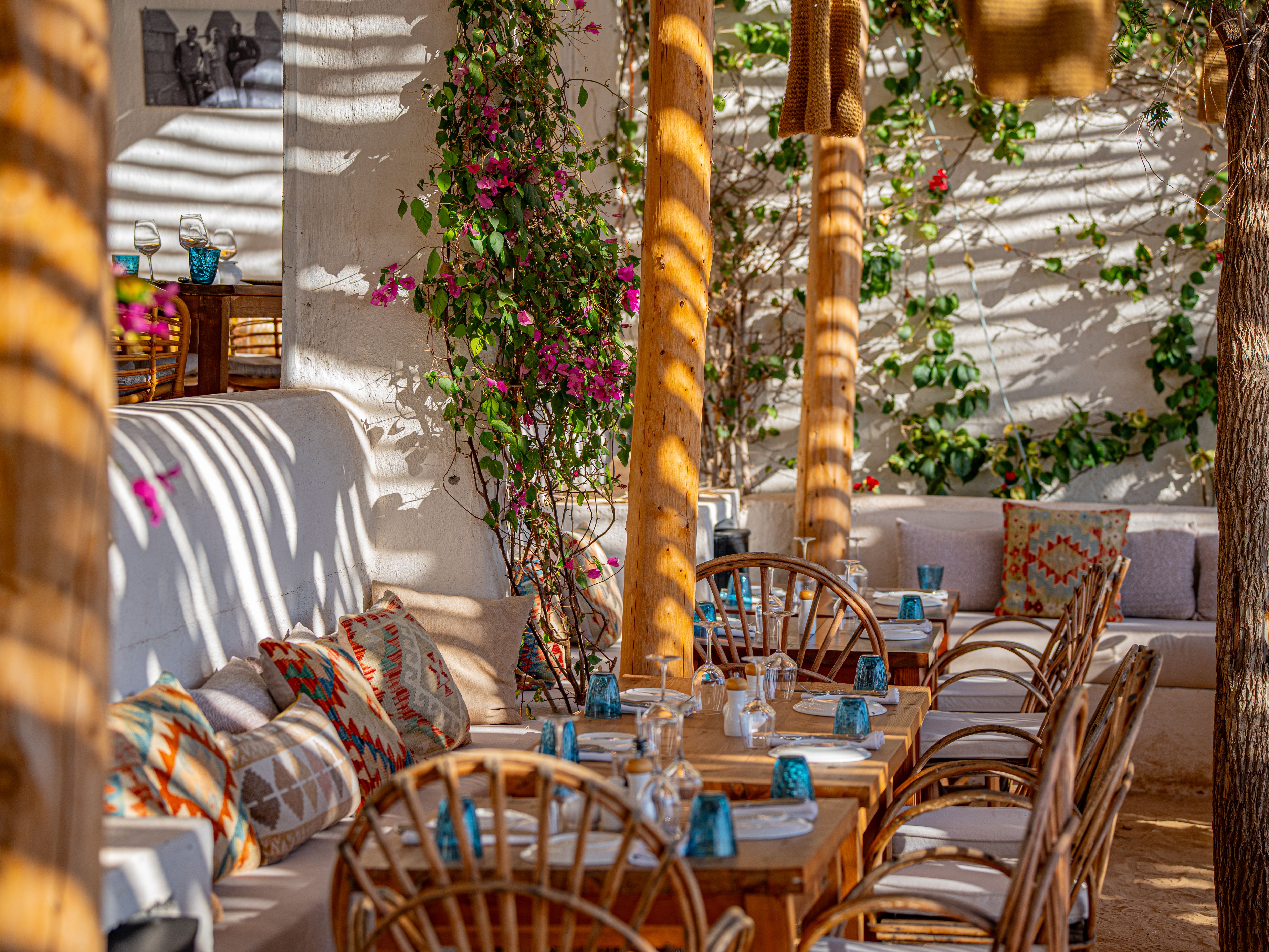 MND Local: How Los Cabos is positioning itself as a ‘second stop’ destination for World Cup travelers — Photo by casa lalla t