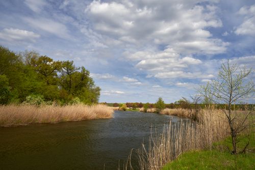 Free A peaceful river surrounded by lush greenery and blue sky, perfect for nature lovers. Stock Photo