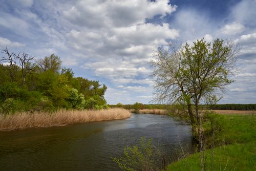 Free Serene river scene featuring lush spring greenery and a tranquil sky. Stock Photo