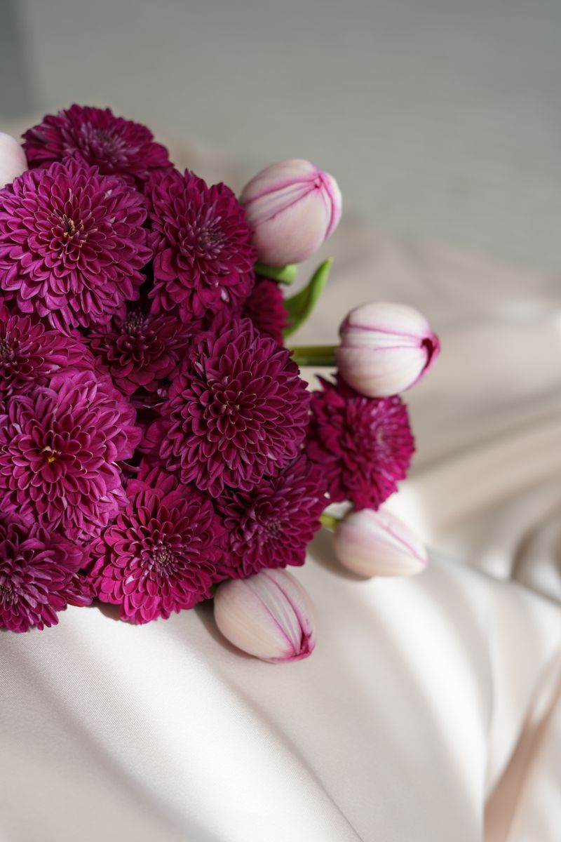 A stunning bouquet of pink chrysanthemums and tulips lying on a soft, flowing fabric.