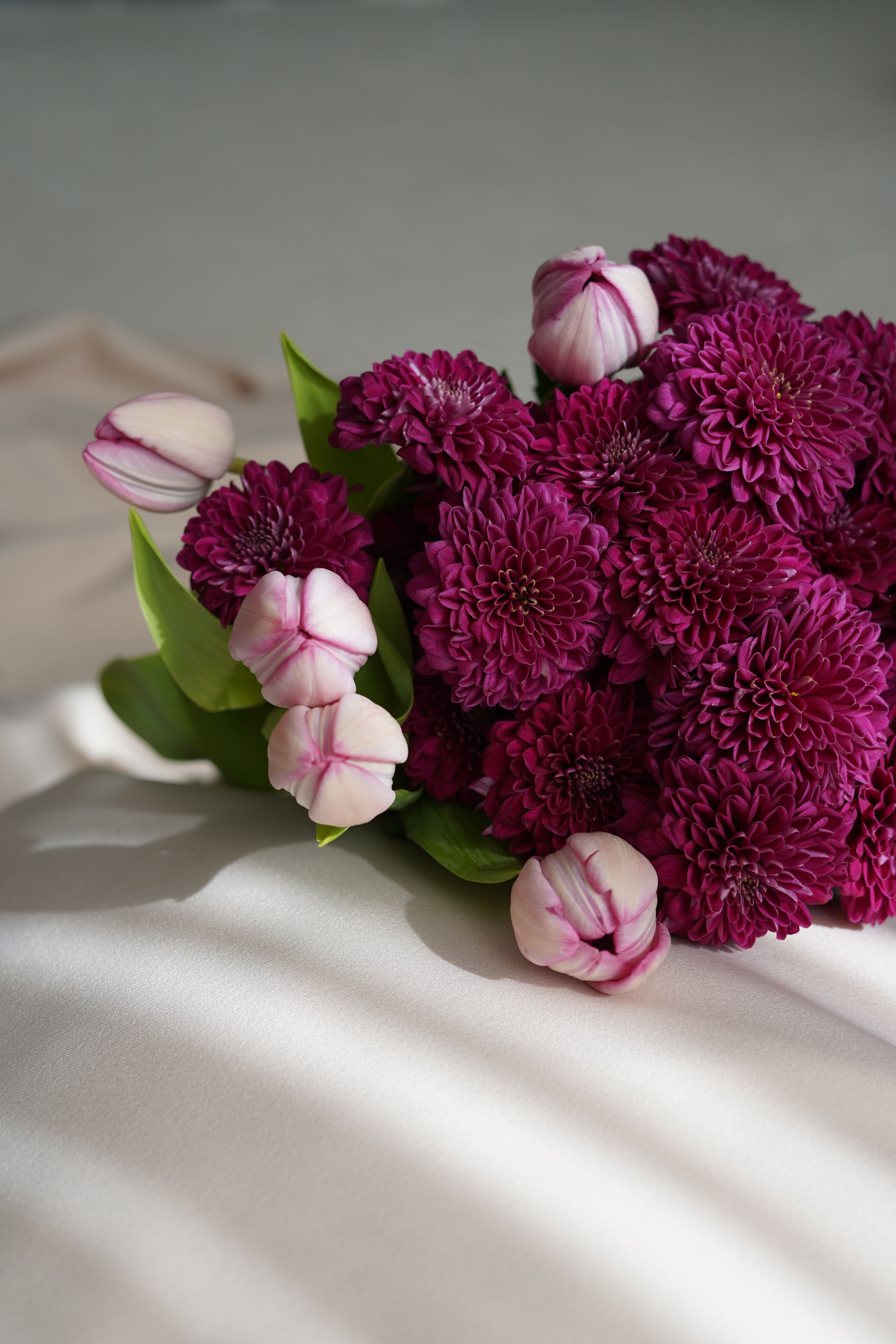 [ColoSach]-vibrant-bouquet-of-purple-chrysanthemums-and-tulips-with-soft-lighting,-perfect-for-floral-decor-or-gift-ideas.