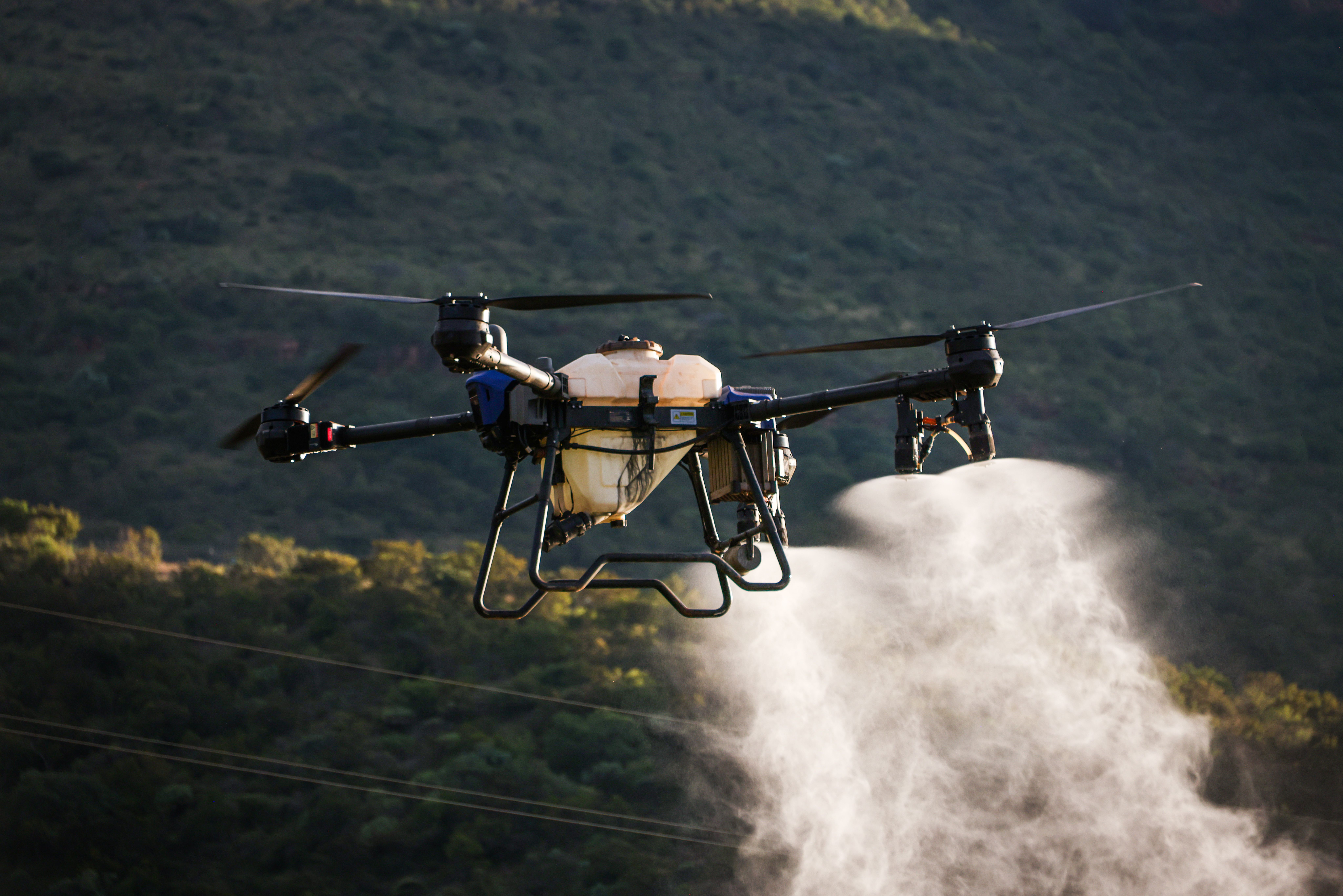 Aerial view of a drone spraying crops with precision agriculture technology.