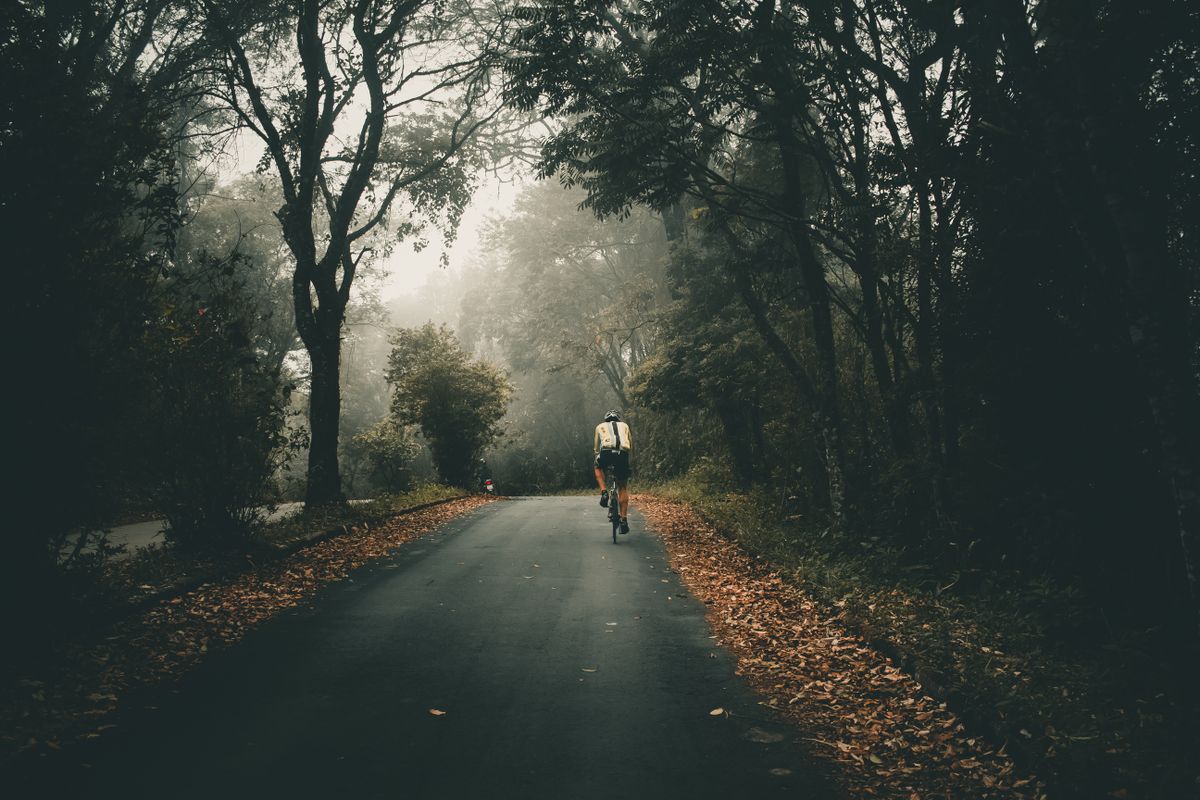 Lone cyclist riding along a quiet road through a misty forest
