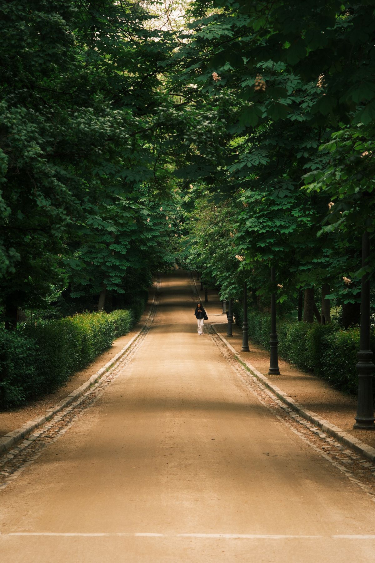 Person walking slowly and mindfully in a park