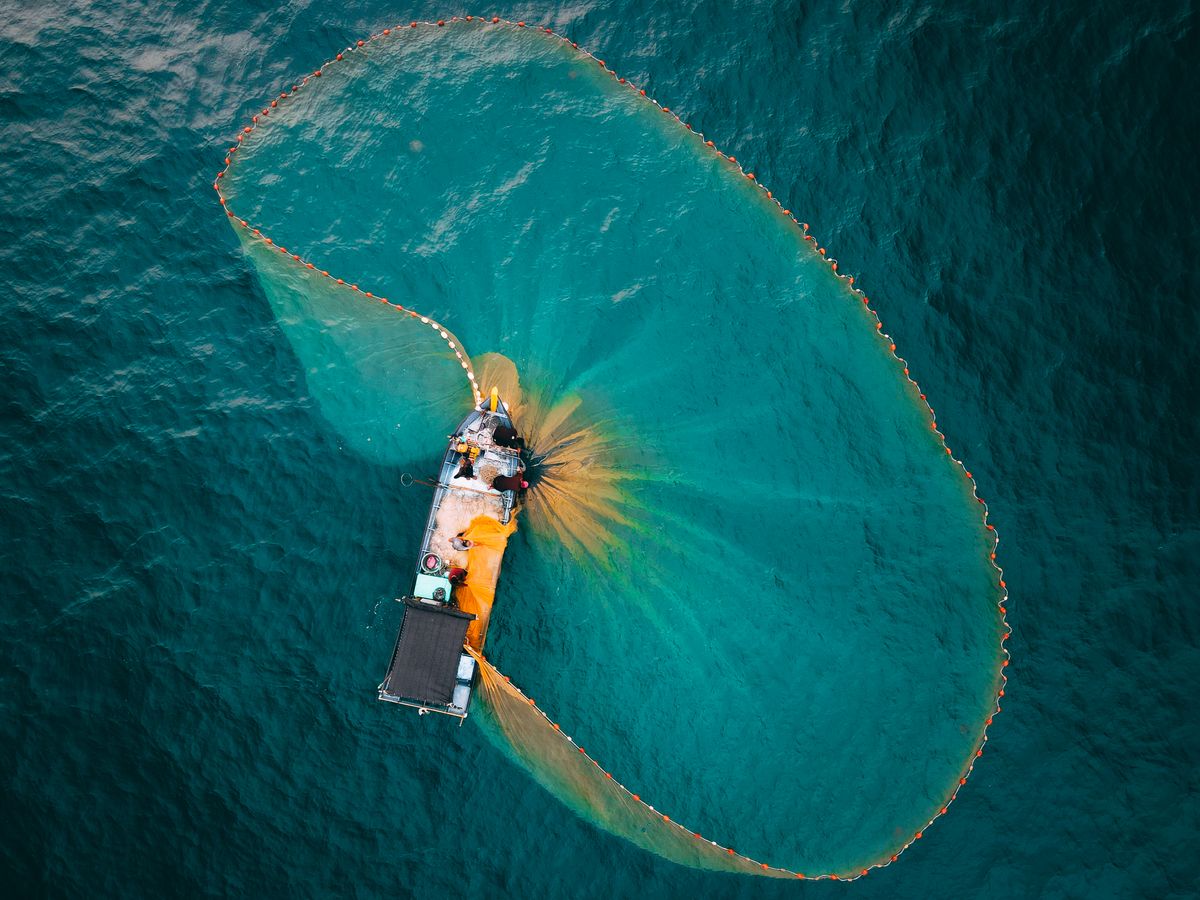 Aerial View of Traditional Sea Fishing in Philippines · Free Stock Photo