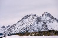 冬季白雪皑皑，绿树成荫，风景优美