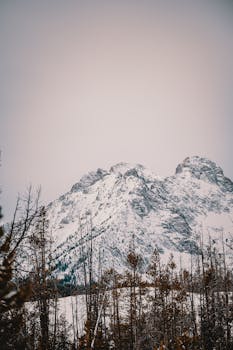 Serene winter mountain view with snow-capped peaks and forest foreground.