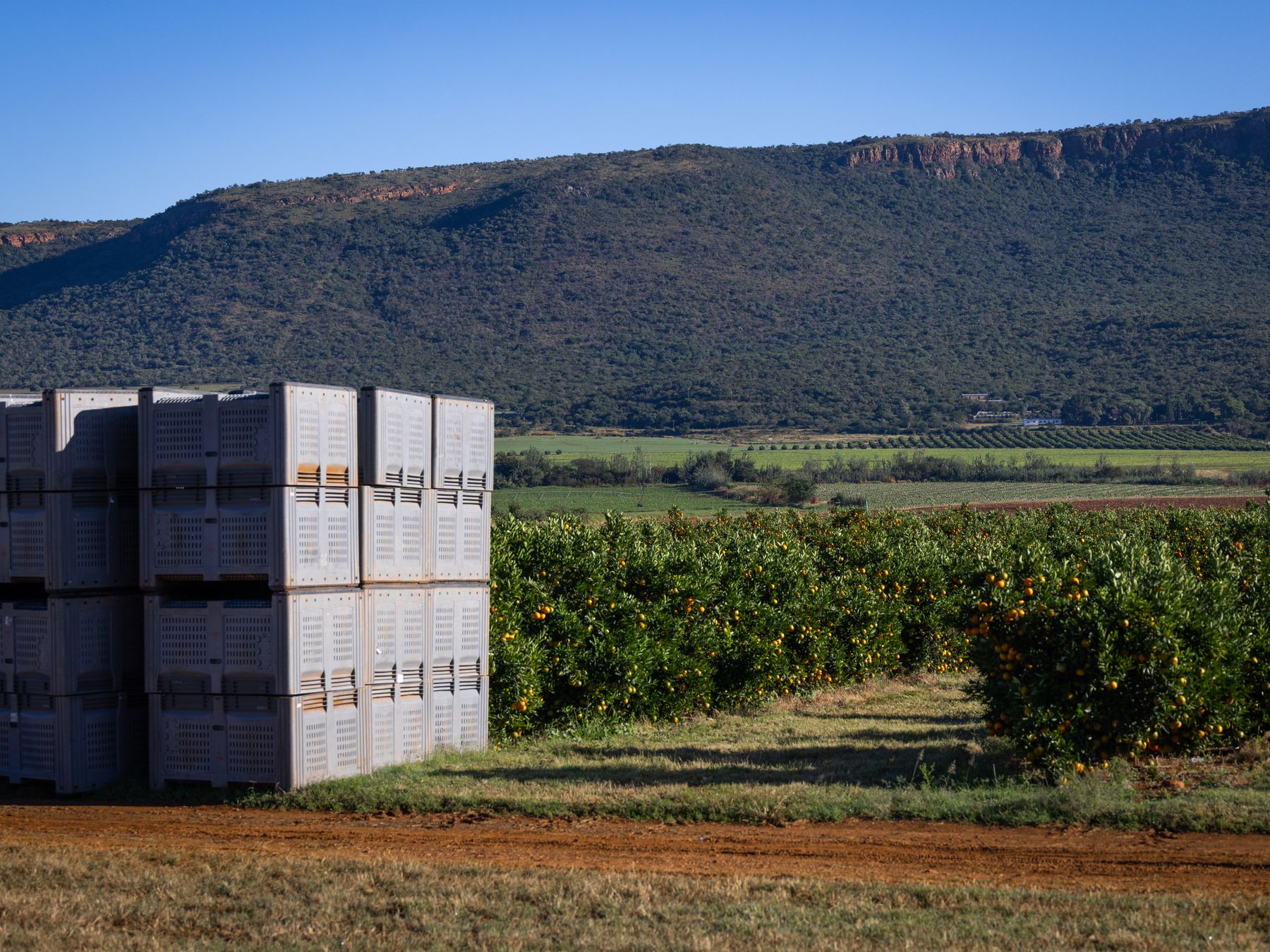 Modbury — professional packers wrapping and boxing belongings