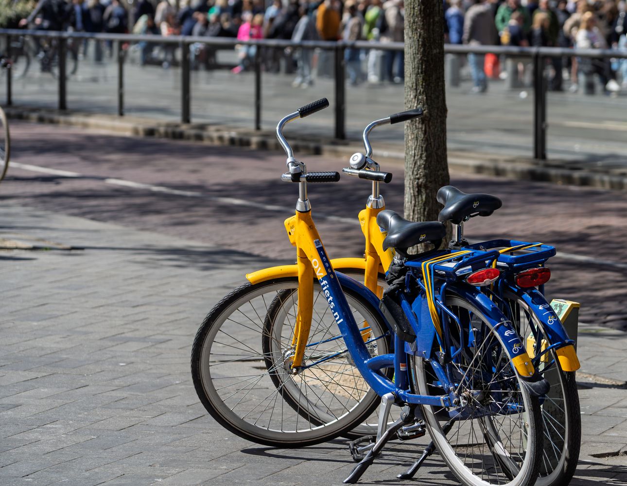Bike Rental Photos, Download The BEST Free Bike Rental Stock Photos ...