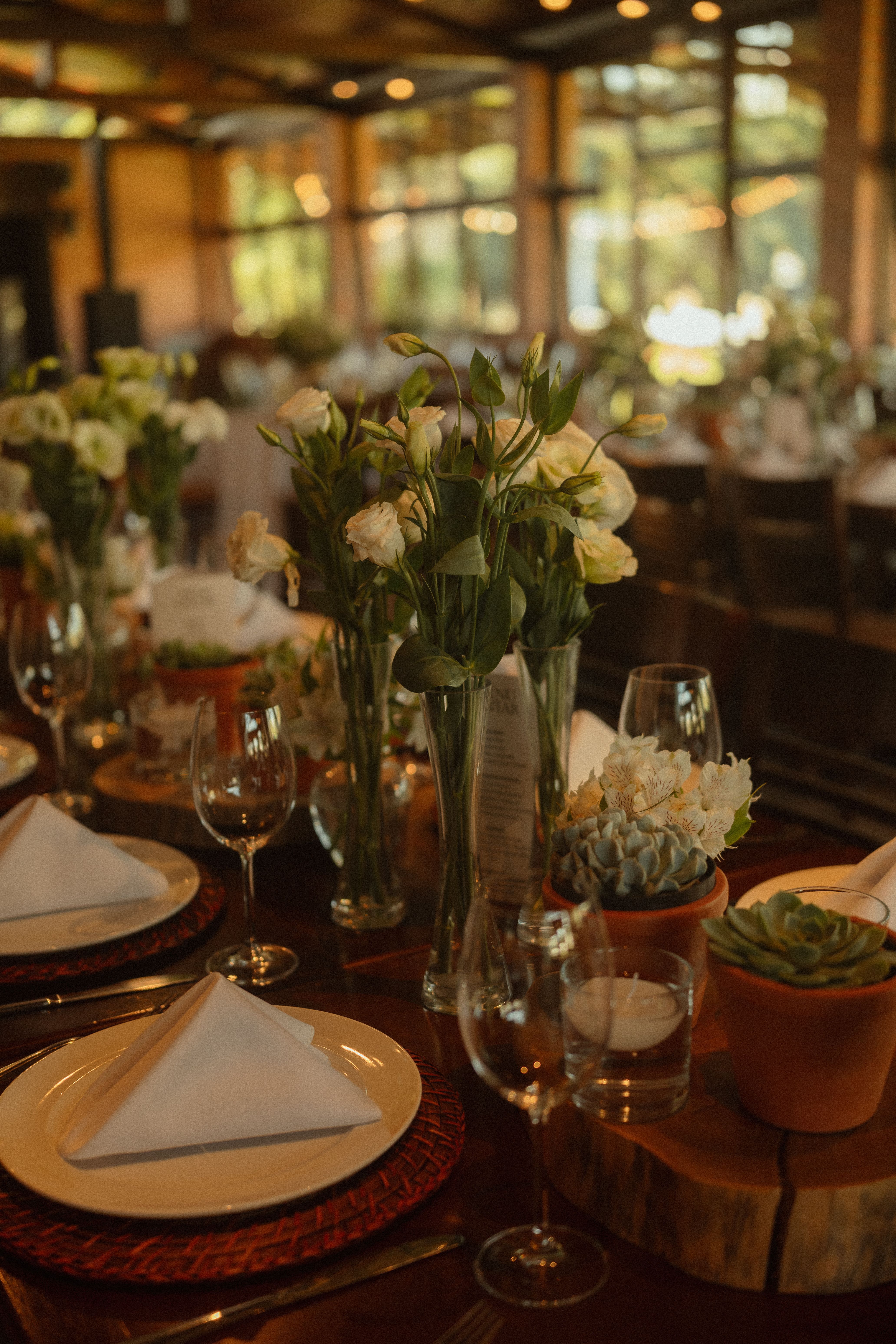 Potted Plant Wedding Centerpieces Photos, Download The BEST Free Potted  Plant Wedding Centerpieces Stock Photos & HD Images