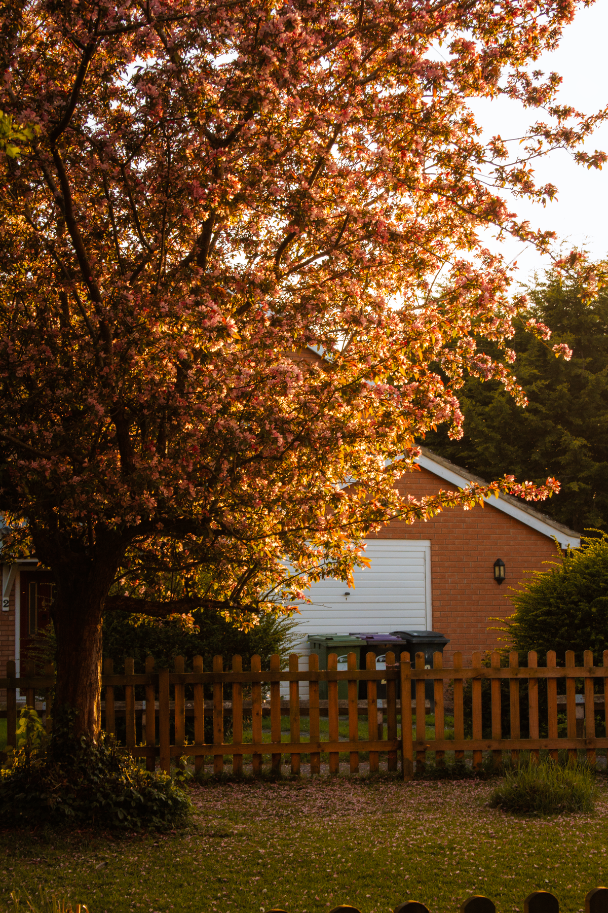 Peaceful residential area in South Carolina