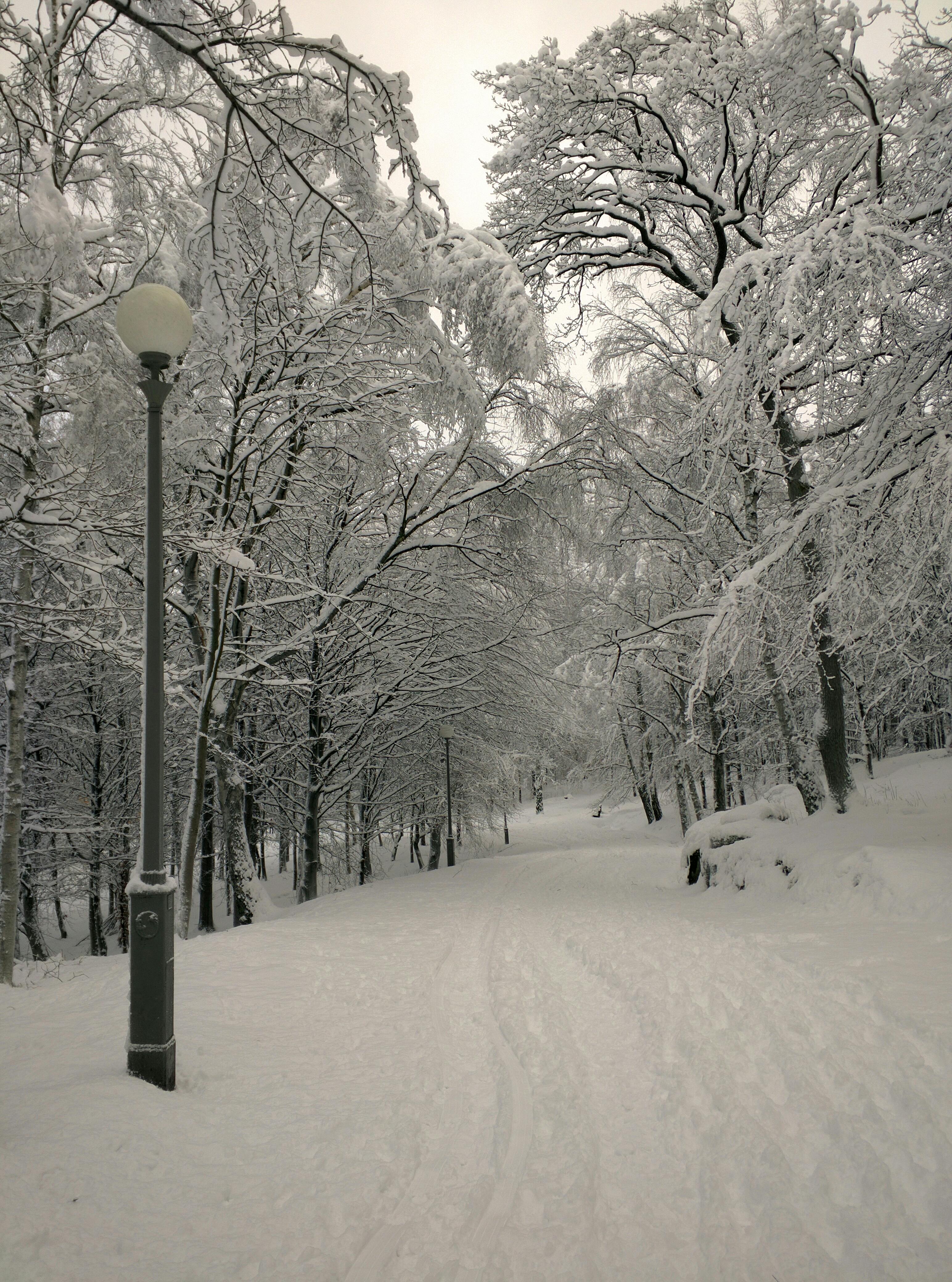 Check-in tại quầy