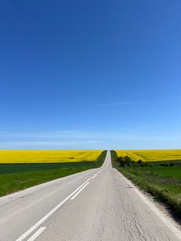 A straight rural road stretches between yellow fields under a bright blue sky in Bulgaria.