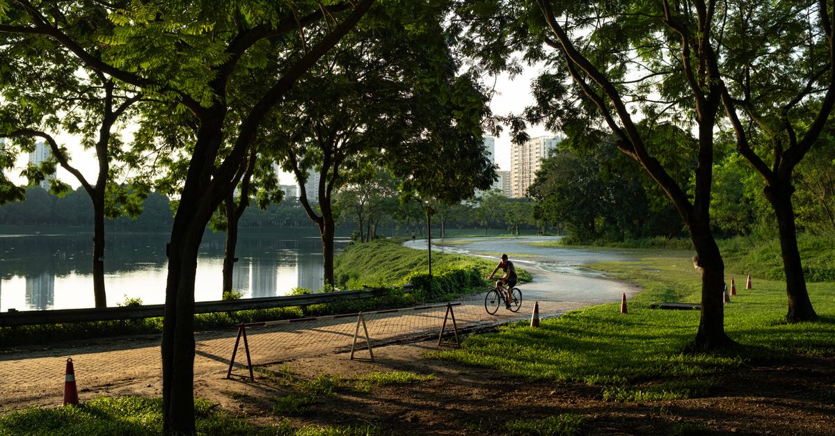 How to Create a Sustainable Mobile Lifestyle