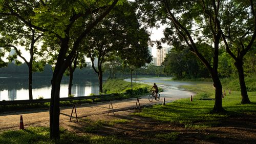 Free Serene park setting in Vietnam with cyclist riding by a calm lake under lush green trees at sunset. Stock Photo