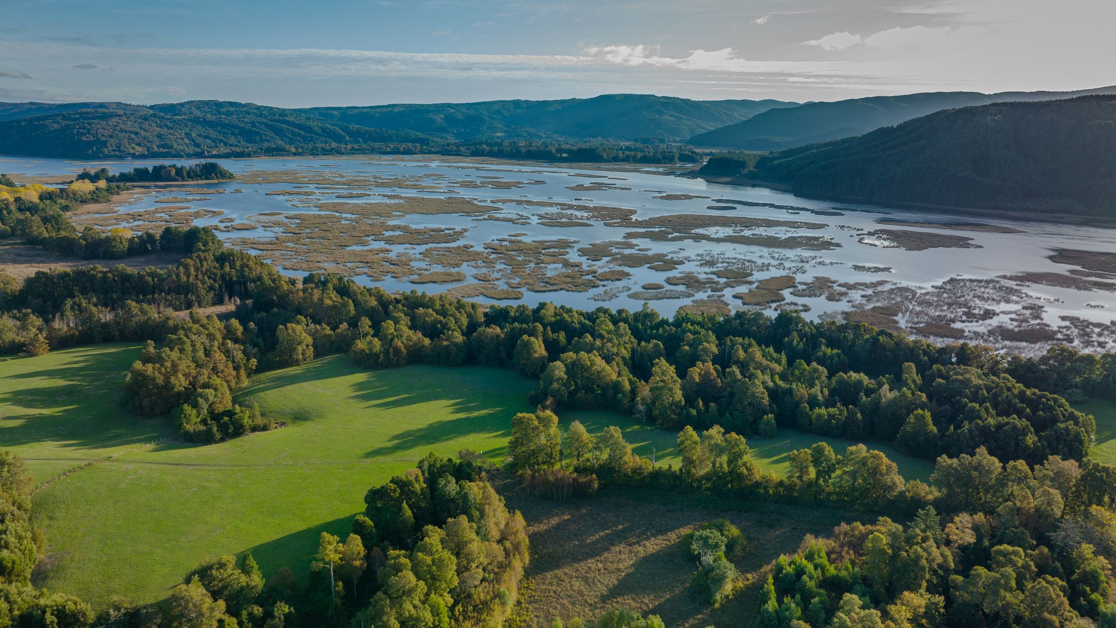 Context photograph: Aerial view of wetlands bordered by forest. Not a VIEWPIECE acquisition or analysis.