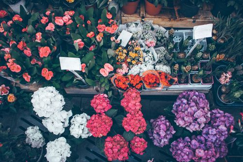 Free Top-down view of diverse colorful flowers in a market setting, ideal for floral and nature themes. Stock Photo