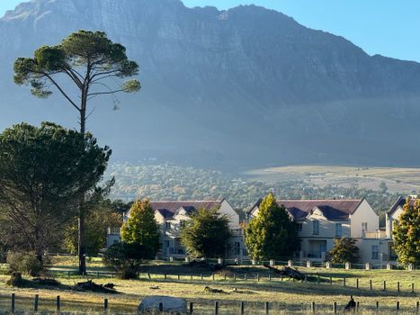 Stellenbosch wine with a sommelier — Cape Town