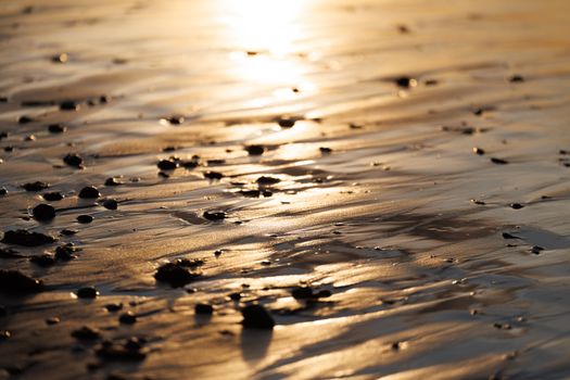 Stunning sunset light reflecting off sandy beach with scattered pebbles in Zelenogradsk, Russia.