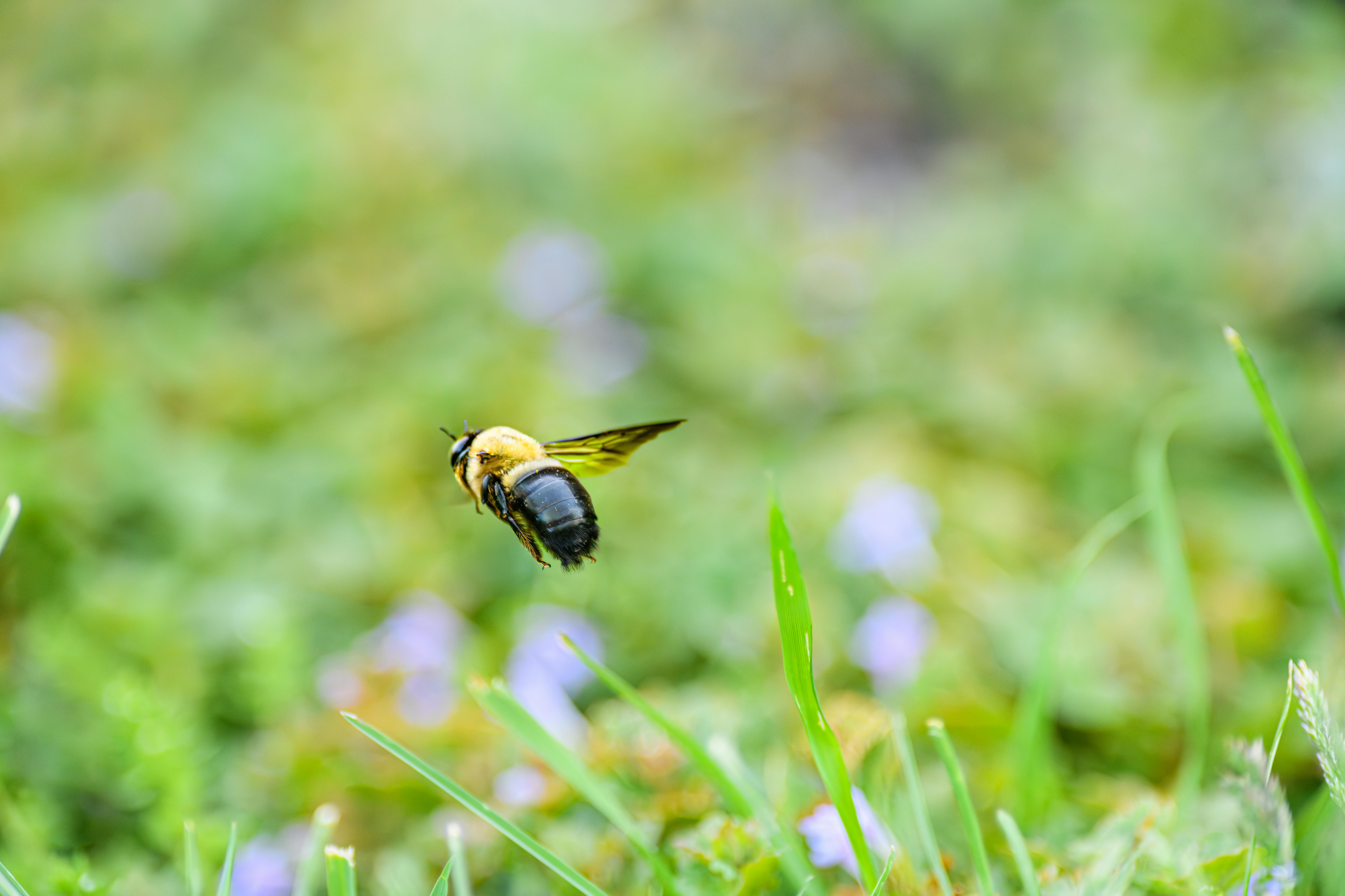 Ark Valley Civics Bee Competition to Send Three Local Students to State — Photo by Jay Brand on Pexels